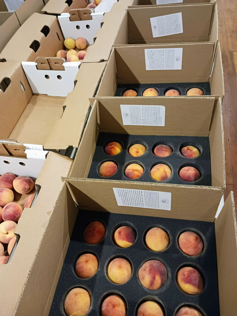 Corporate peach gift boxes packed for nationwide delivery