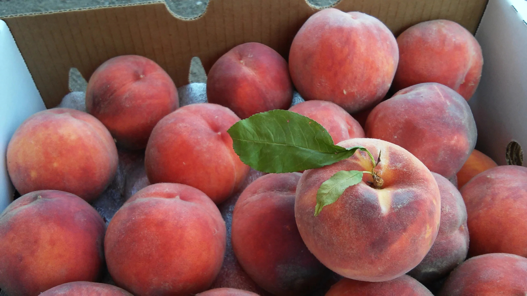 Box of Palisade peaches from Colorado Fresh Fruit Co.